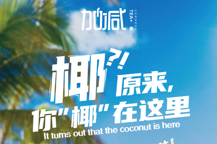 350vip8888椰子系列新品火爆上市