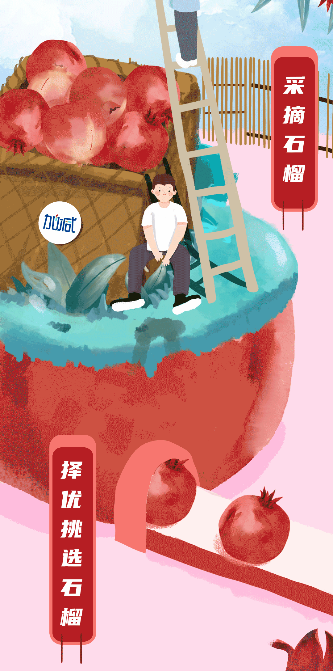 350vip8888茶饮石榴新品